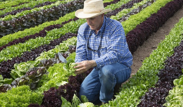 Farmer